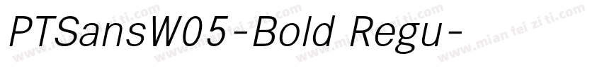 PTSansW05-Bold Regu字体转换